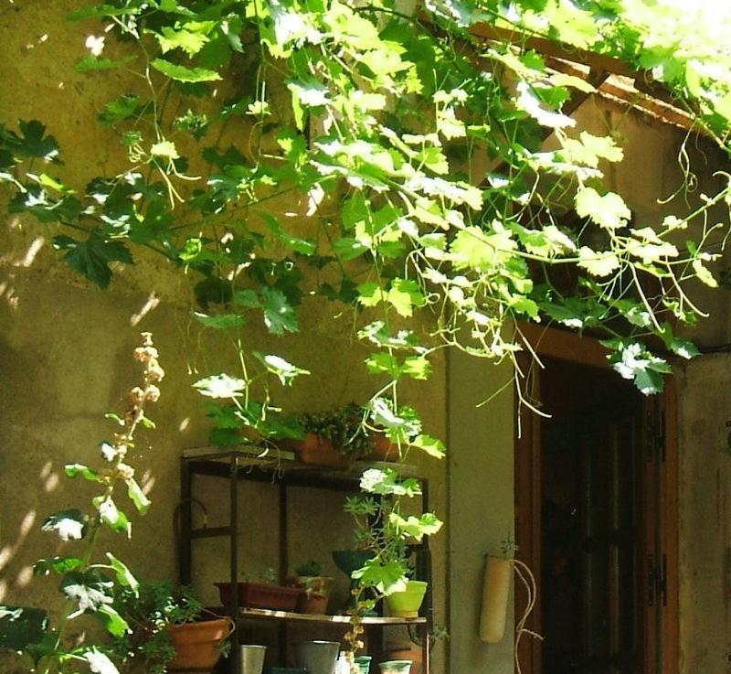 La Vigne Bleue Hotel Olonzac Ngoại thất bức ảnh